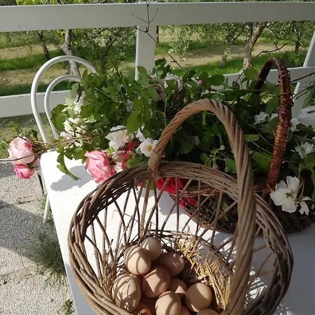 Farma Agriturismo La Dolce Vite