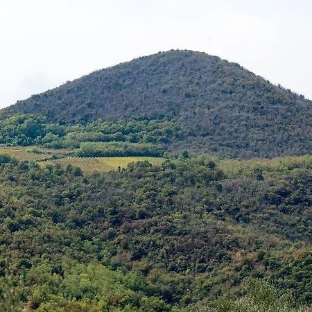 Agriturismo La Dolce Vite Farma Galzignano Terme